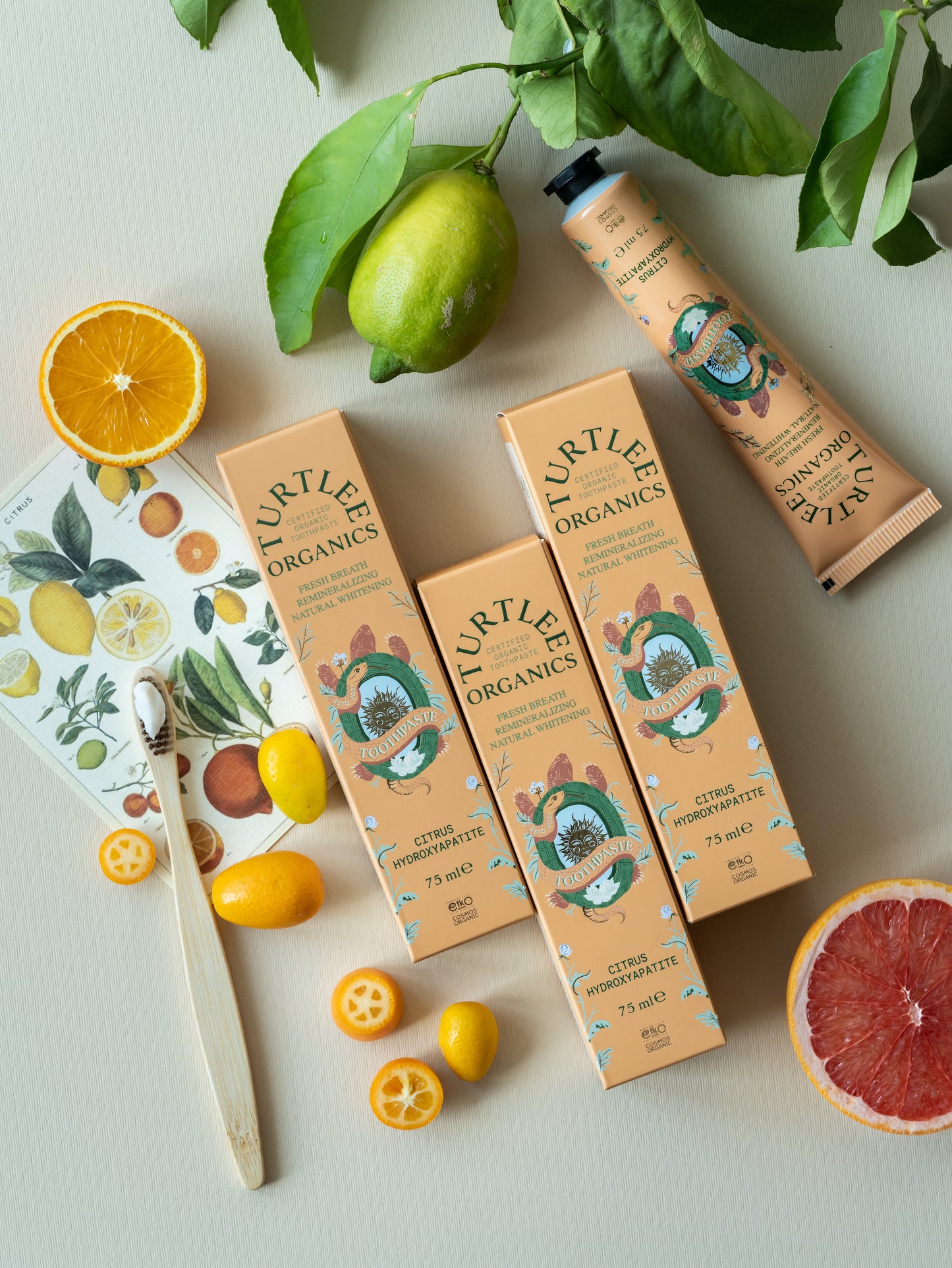 Organic Citrus–Hydroxyapatite Toothpaste 3-Pack | Mint-Free & Homeopathy-Safe